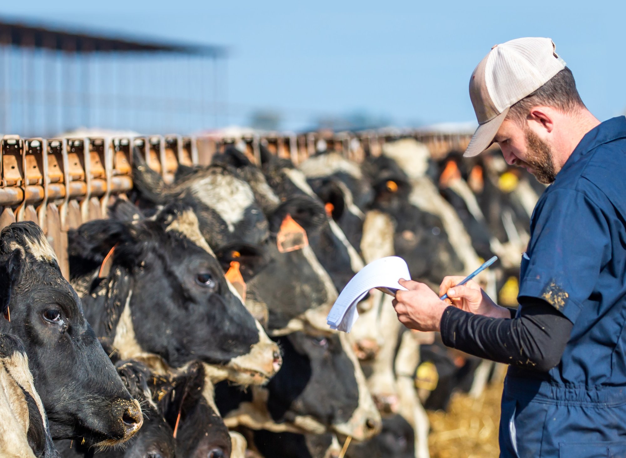 RS13826_2023April_DairyDirectory_CoverIdeas_03232-1