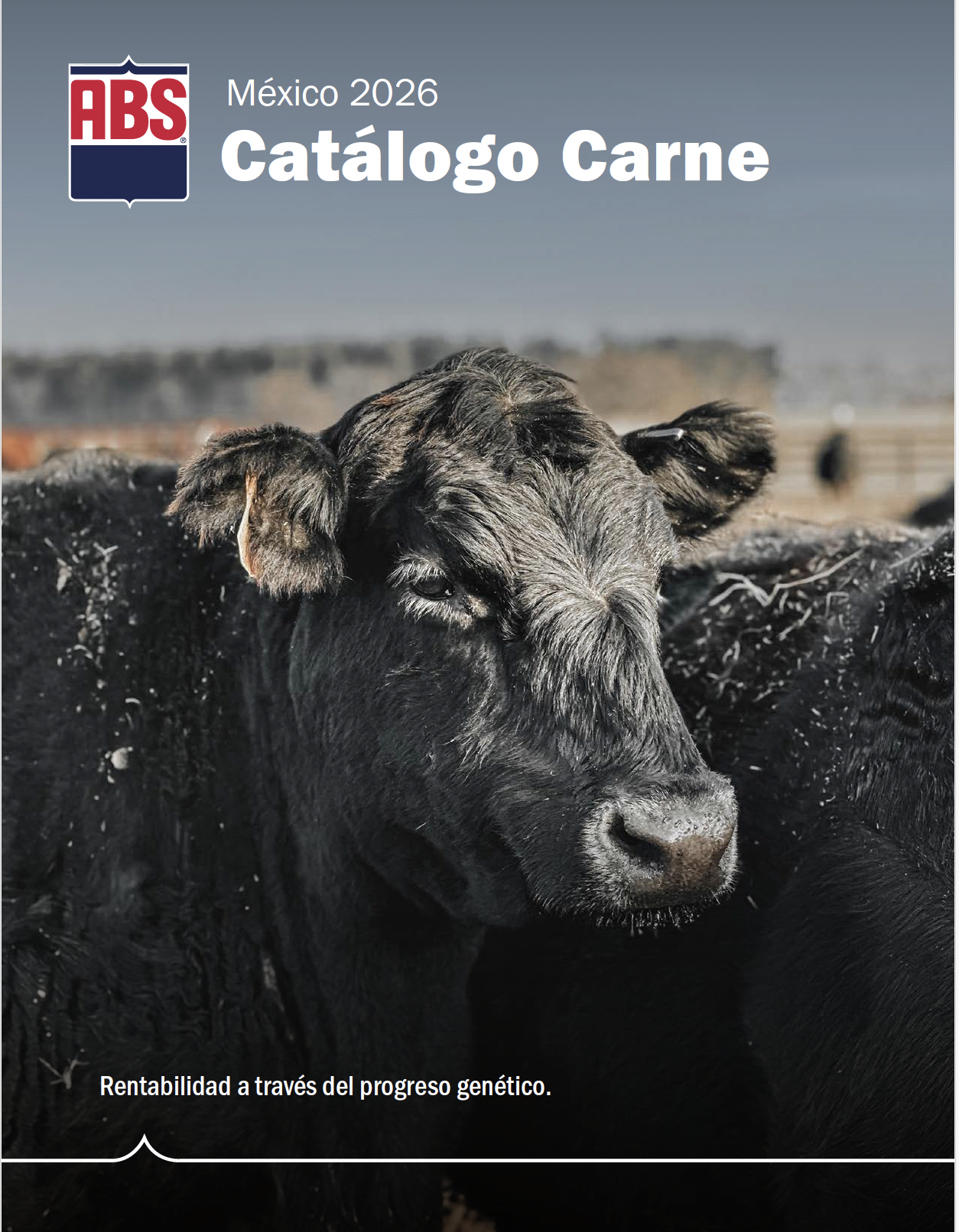 portada catálogo