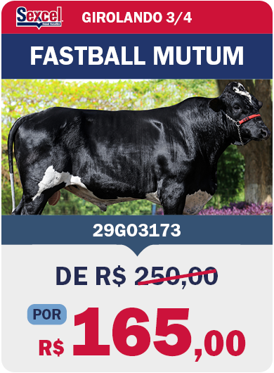 BRA_JaneiroImbatível_LandingPage_0126_PT5-2