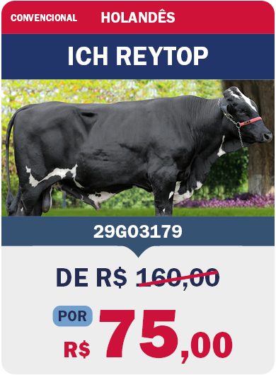 BRA_JaneiroImbatível_LandingPage_0126_PT6-2