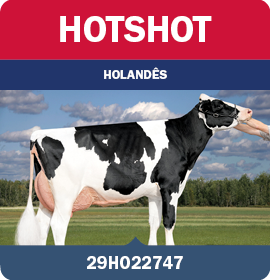 BRA_MegaLeiteABS_LandingPage_0526_PT12