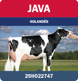 BRA_MegaLeiteABS_LandingPage_0526_PT13