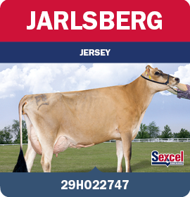 BRA_MegaLeiteABS_LandingPage_0526_PT14