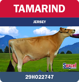 BRA_MegaLeiteABS_LandingPage_0526_PT15