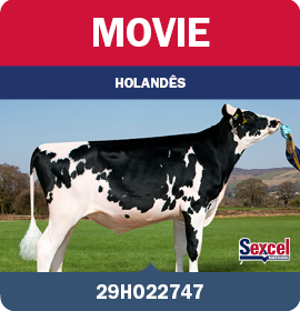 BRA_MegaLeiteABS_LandingPage_0526_PT17