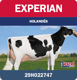 BRA_MegaLeiteABS_LandingPage_0526_PT18