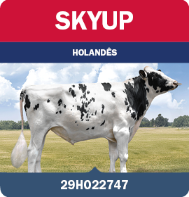 BRA_MegaLeiteABS_LandingPage_0526_PT19