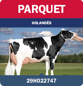 BRA_MegaLeiteABS_LandingPage_0526_PT20