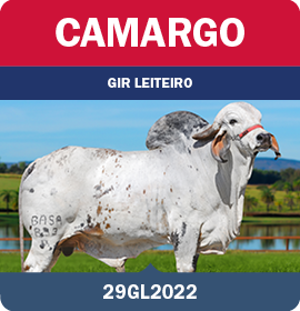 BRA_MegaLeiteABS_LandingPage_0626_PT11