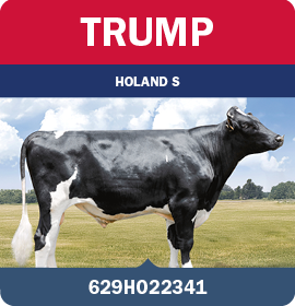 BRA_MegaLeiteABS_LandingPage_0626_PT19