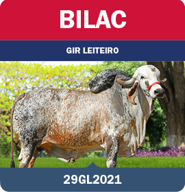 BRA_MegaLeiteABS_LandingPage_0626_PT9